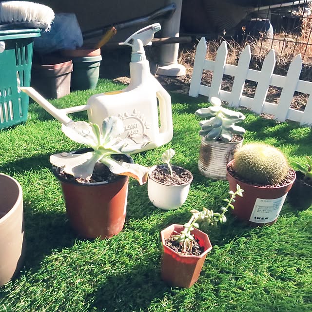 saikoroさんの実例写真