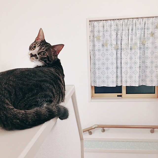 ippu0303Karinさんの実例写真