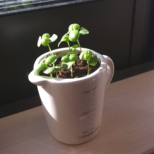 keichanさんの実例写真