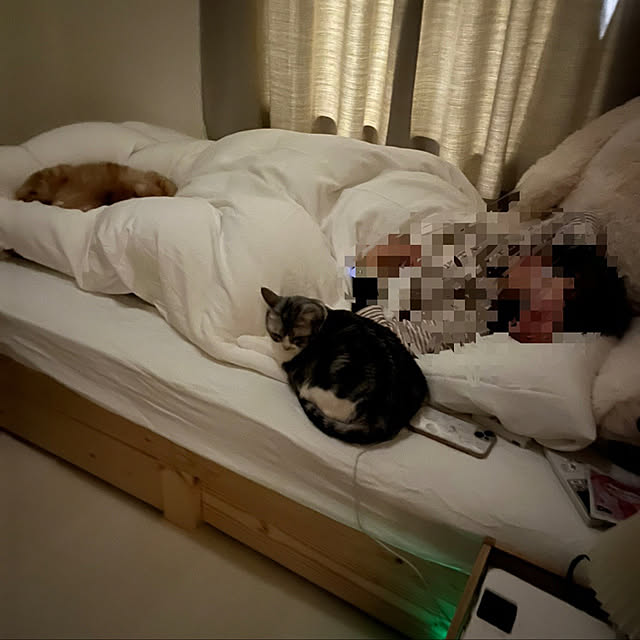 Atelier.mさんの実例写真