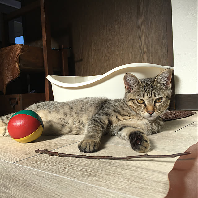 Mさんの実例写真