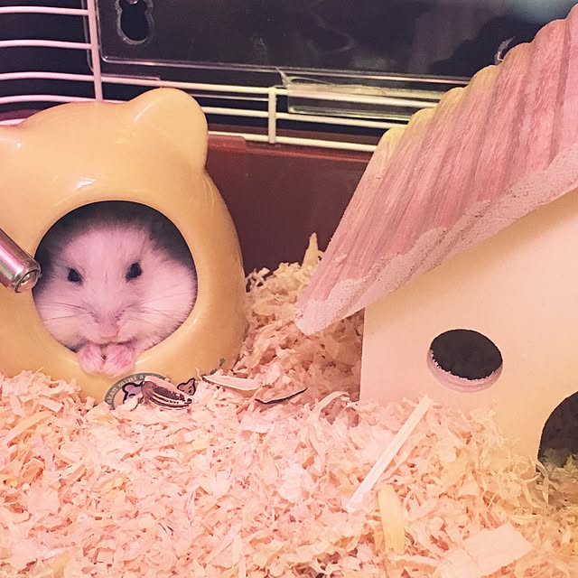 mikaさんの実例写真
