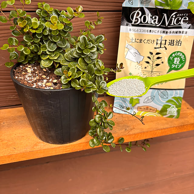 mamichopさんの実例写真