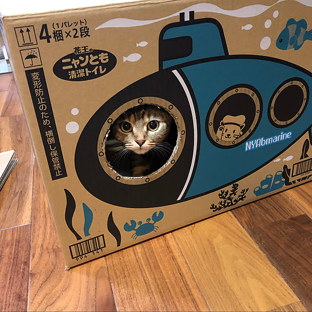Peroさんの実例写真