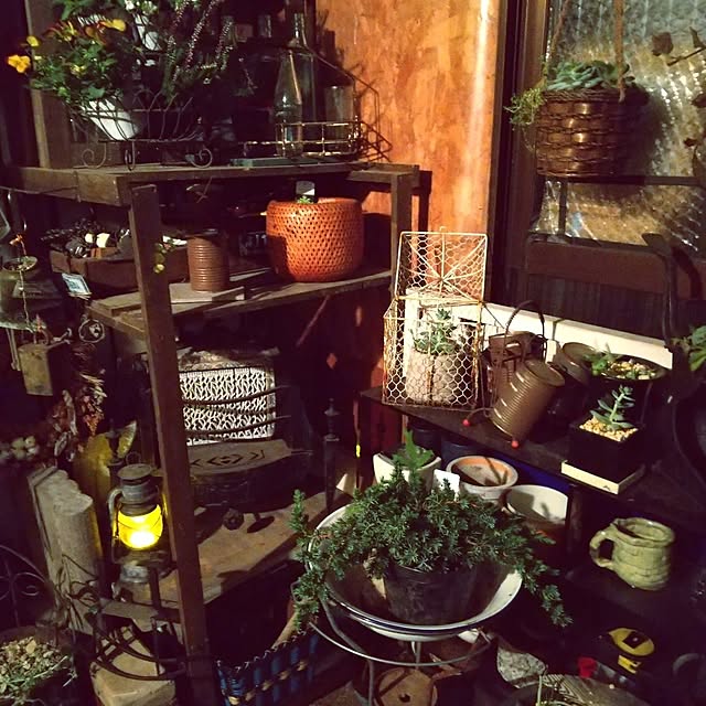 koyutan-mjmさんの部屋