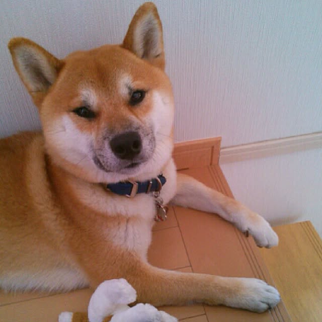 kotaさんの実例写真