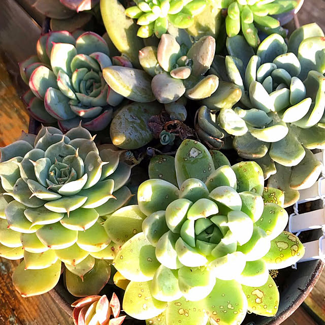 **yuu**さんの実例写真