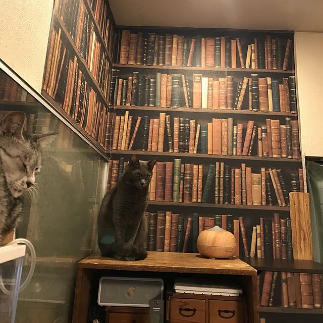 miseiさんの実例写真
