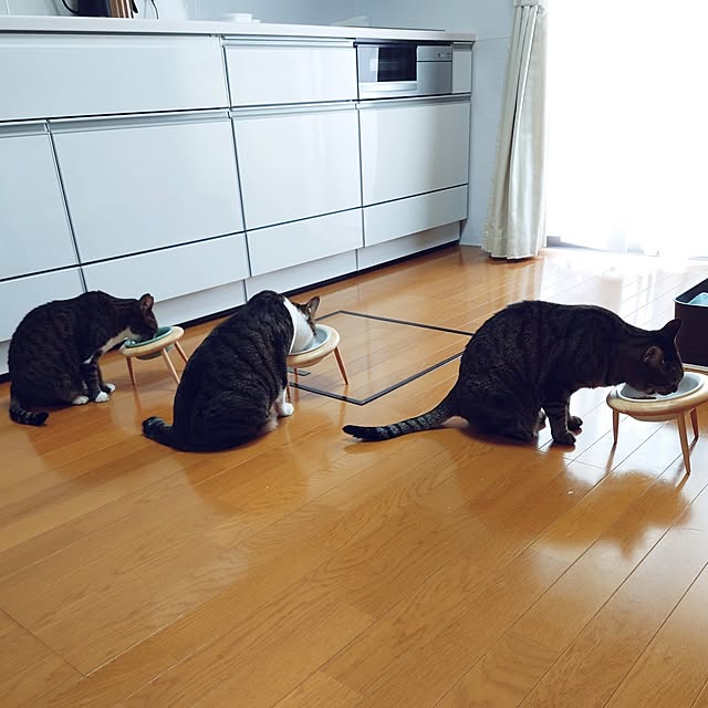 nachiさんの部屋
