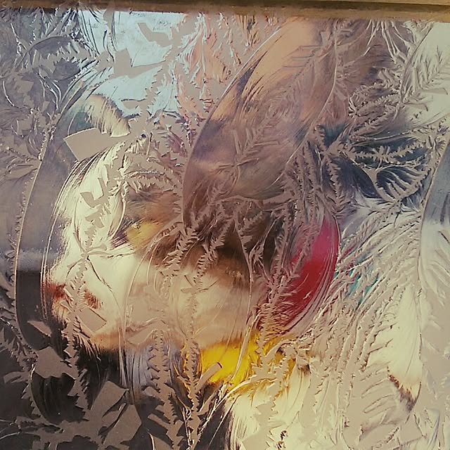 J.BOYさんの実例写真