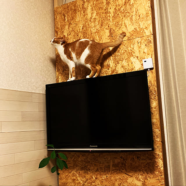 sanaさんの実例写真