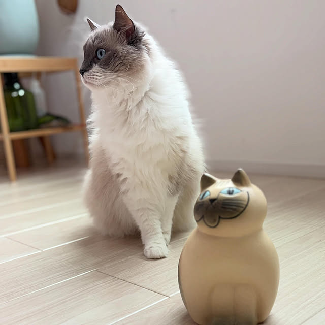 ayutaxさんの部屋