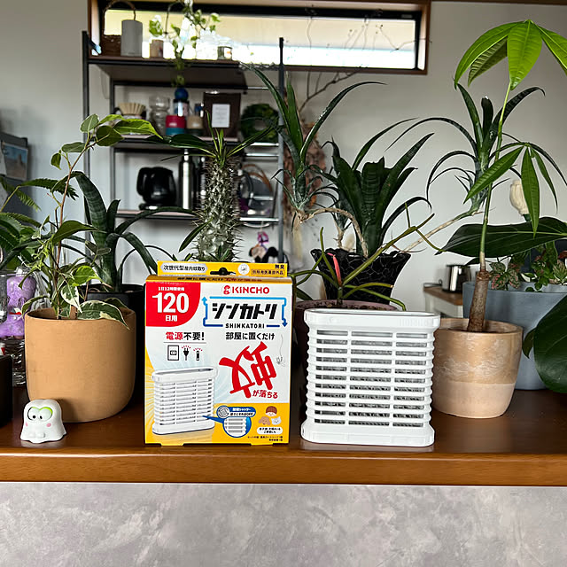 pokowheeさんの実例写真