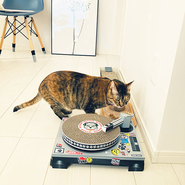 minminさんの実例写真