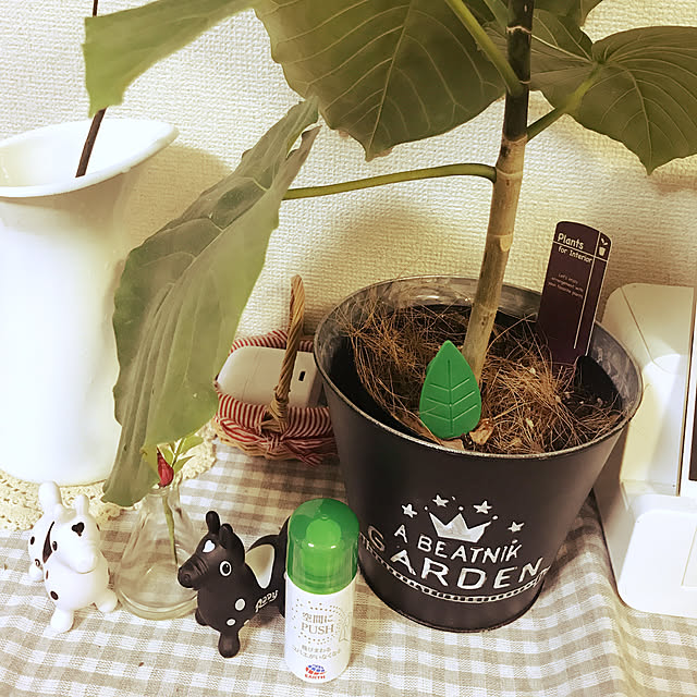chiekawa63さんの実例写真