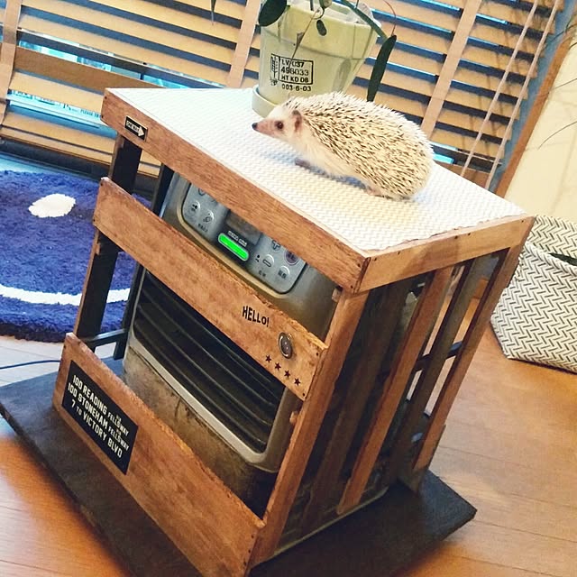 tomominさんの実例写真