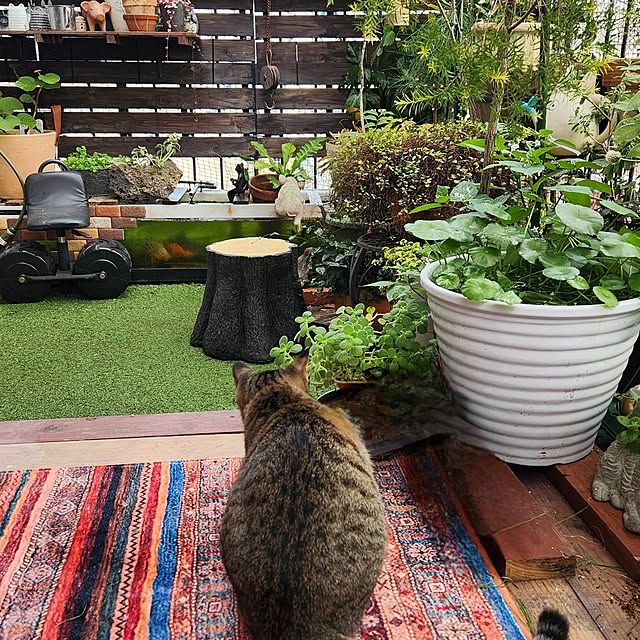 mikamaiさんの部屋