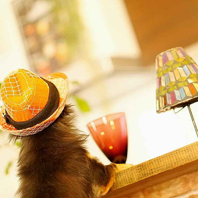 ayuemonさんの実例写真