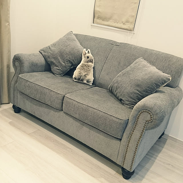 shiさんの実例写真