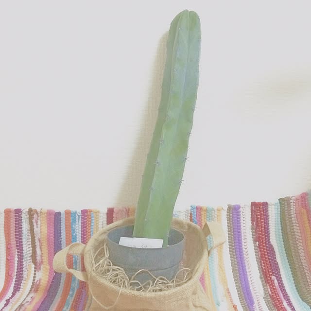 natststsさんの実例写真