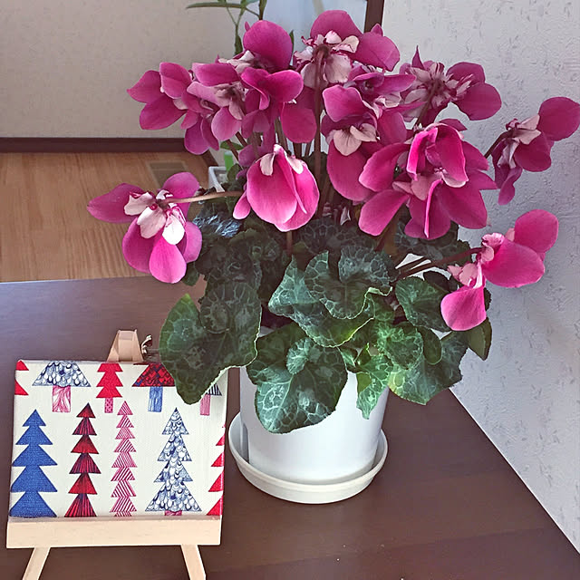 実例写真