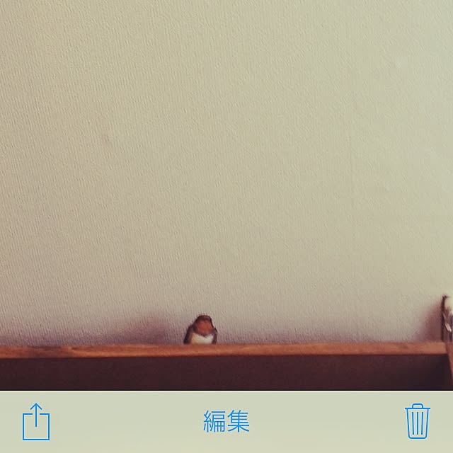 omoideinmy45さんの実例写真