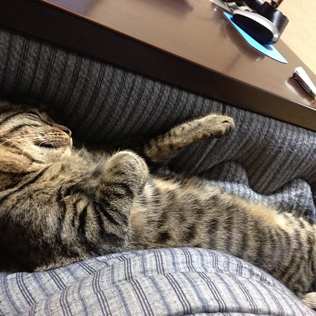HouQさんの実例写真