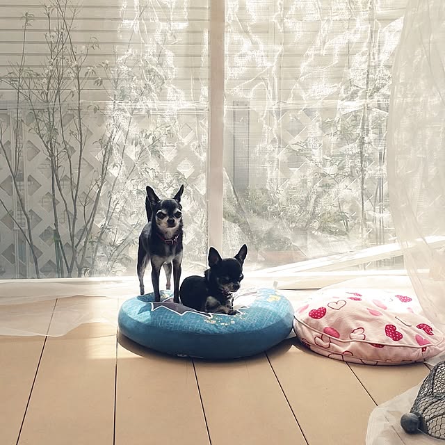 Bienvenueさんの部屋