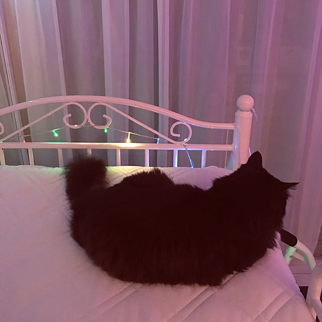 kanaさんの実例写真