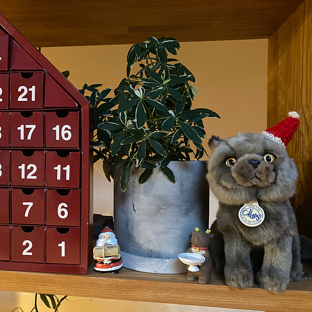 sznoieさんの部屋