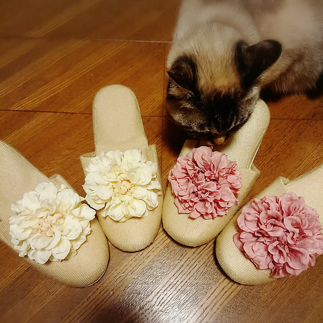 tomoさんの実例写真