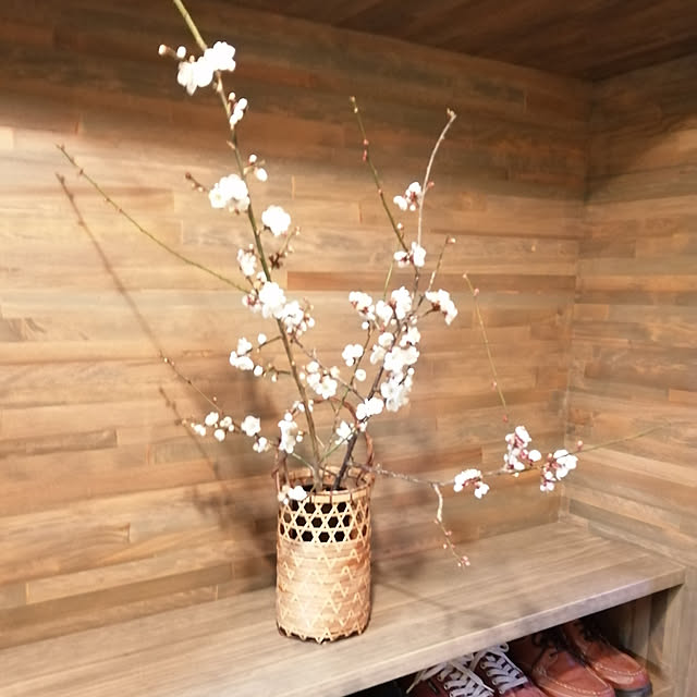 実例写真