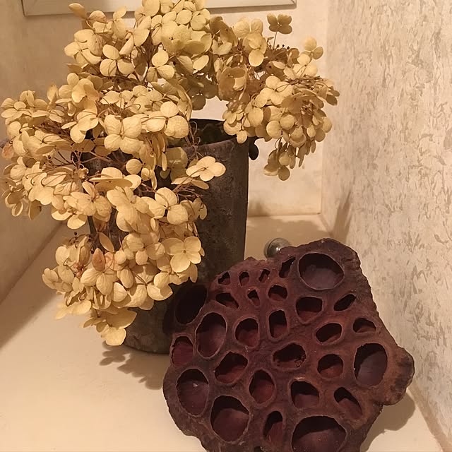 naonaoさんの実例写真