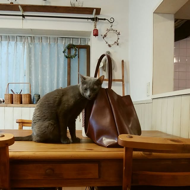 tomo1220さんの実例写真