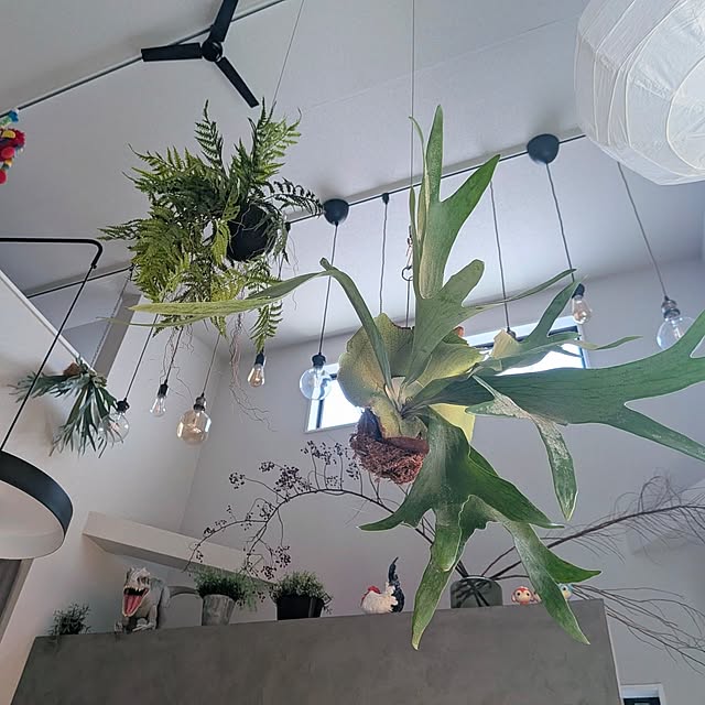 _222222さんの実例写真