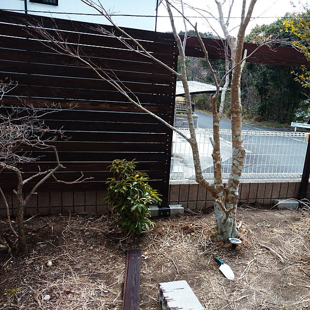 raraさんの実例写真