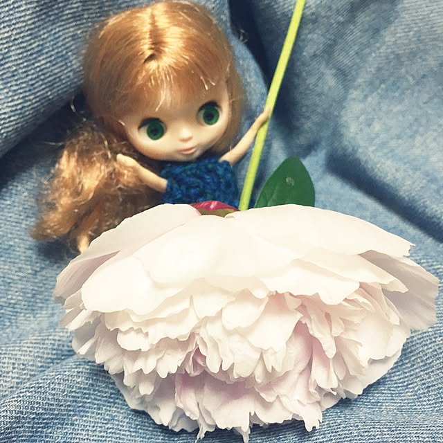 bimoさんの実例写真