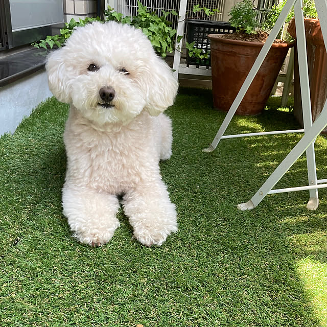 madamkaoriさんの部屋