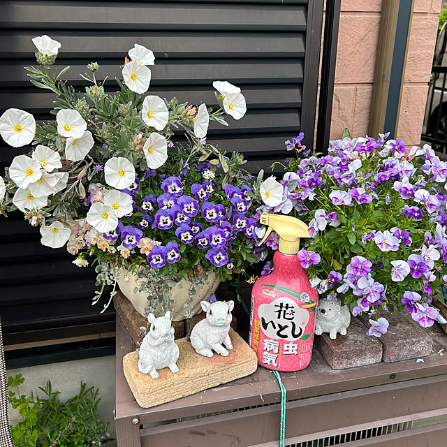 ritsukoさんの部屋