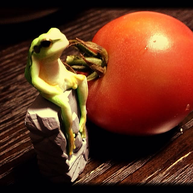 alcalinekoさんの実例写真