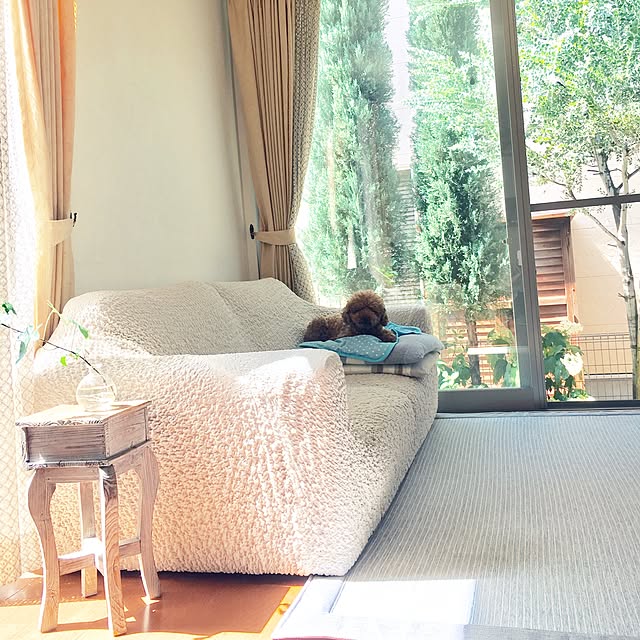 kazuさんの実例写真