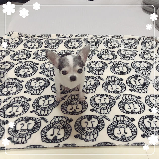 Emiさんの実例写真
