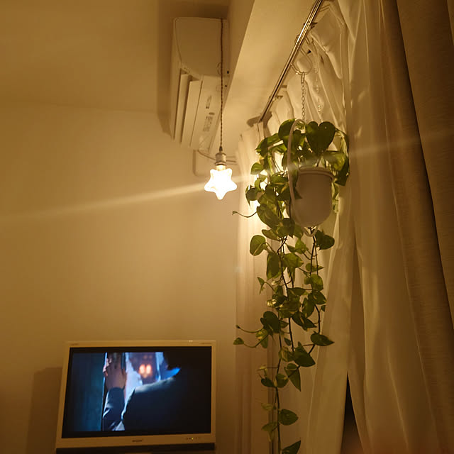 horohorotoriさんの実例写真
