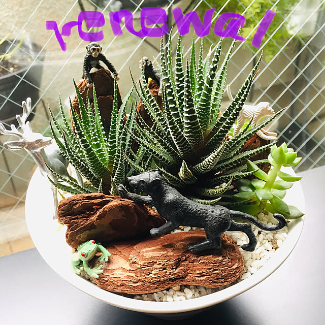 jinさんの実例写真