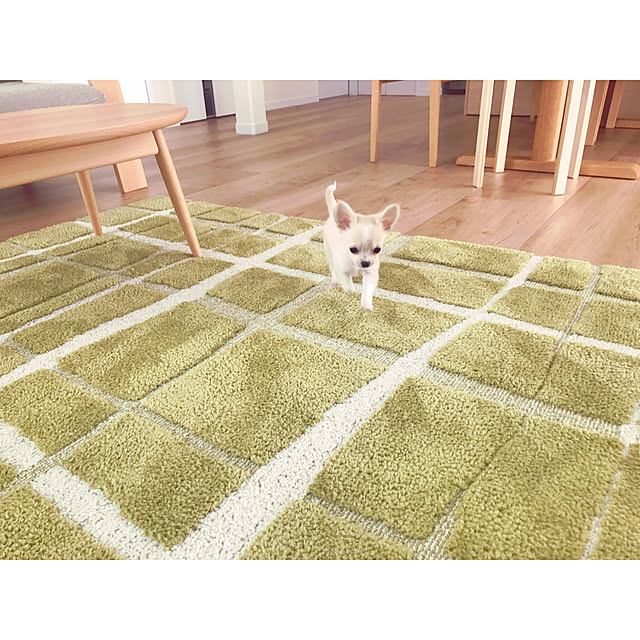 aco64さんの実例写真