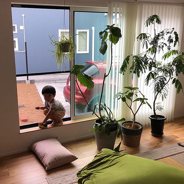 poa.t_hさんの実例写真