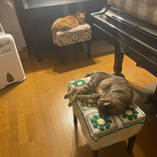 chikaさんの実例写真