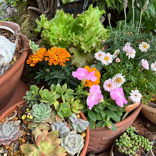 shigetanさんの実例写真