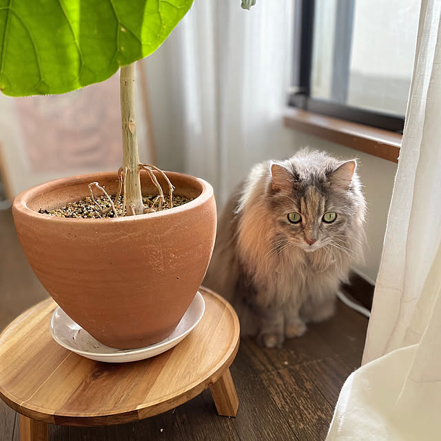 justyさんの部屋