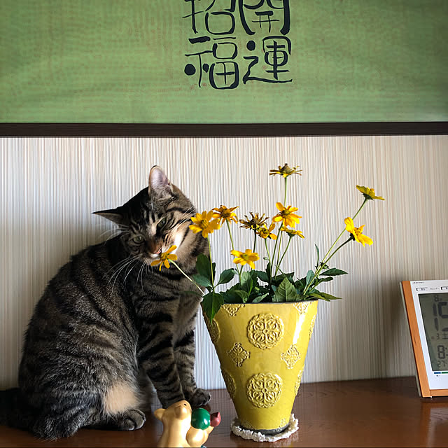kumako0147さんの実例写真